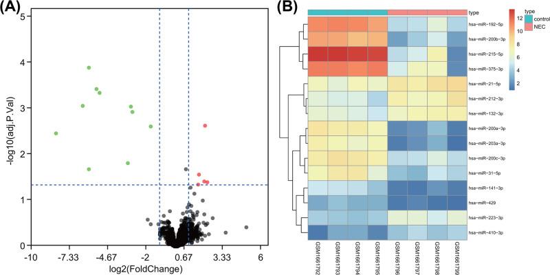 https://cdn.ncbi.nlm.nih.gov/pmc/blobs/e2a0/6757181/46cb4e8017bf/bsr-39-bsr20191503-g1.jpg