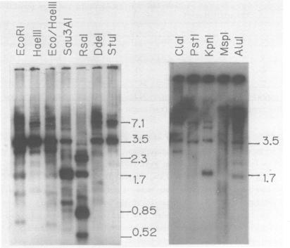 https://cdn.ncbi.nlm.nih.gov/pmc/blobs/e2a1/311781/53362e10132b/nar00288-0073-a.jpg