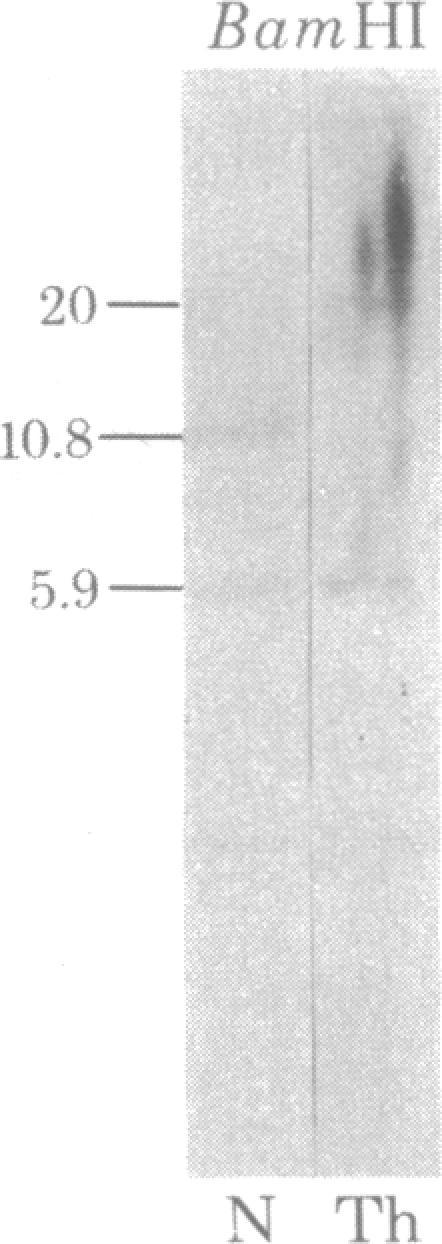https://cdn.ncbi.nlm.nih.gov/pmc/blobs/e2a1/349662/bdb0a0deb7af/pnas00493-0530-d.jpg