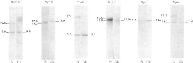 https://cdn.ncbi.nlm.nih.gov/pmc/blobs/e2a1/349662/ca8c7d332c77/pnas00493-0530-a.jpg