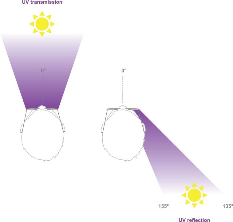 https://cdn.ncbi.nlm.nih.gov/pmc/blobs/e2a1/3872277/5686648d5fb7/opth-8-087Fig9.jpg