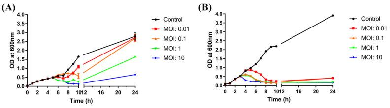 https://cdn.ncbi.nlm.nih.gov/pmc/blobs/e2a1/8402813/ade2a89fa1a5/viruses-13-01469-g006.jpg