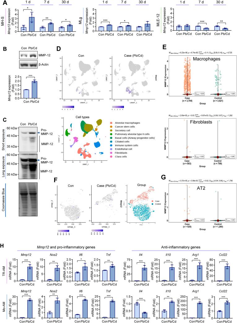 https://cdn.ncbi.nlm.nih.gov/pmc/blobs/e2a4/12271429/33ba9e94eebf/gr3.jpg