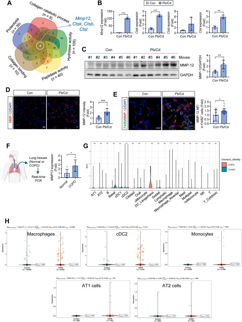https://cdn.ncbi.nlm.nih.gov/pmc/blobs/e2a4/12271429/63ccc11508ab/gr2.jpg