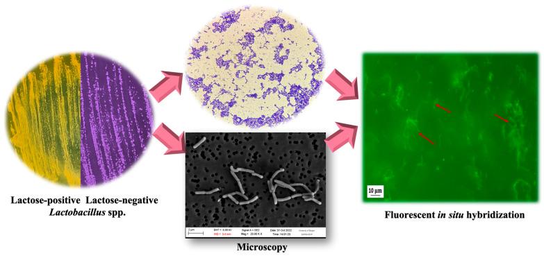 https://cdn.ncbi.nlm.nih.gov/pmc/blobs/e2a5/10780842/070fd6796a4f/polymers-16-00030-g009.jpg