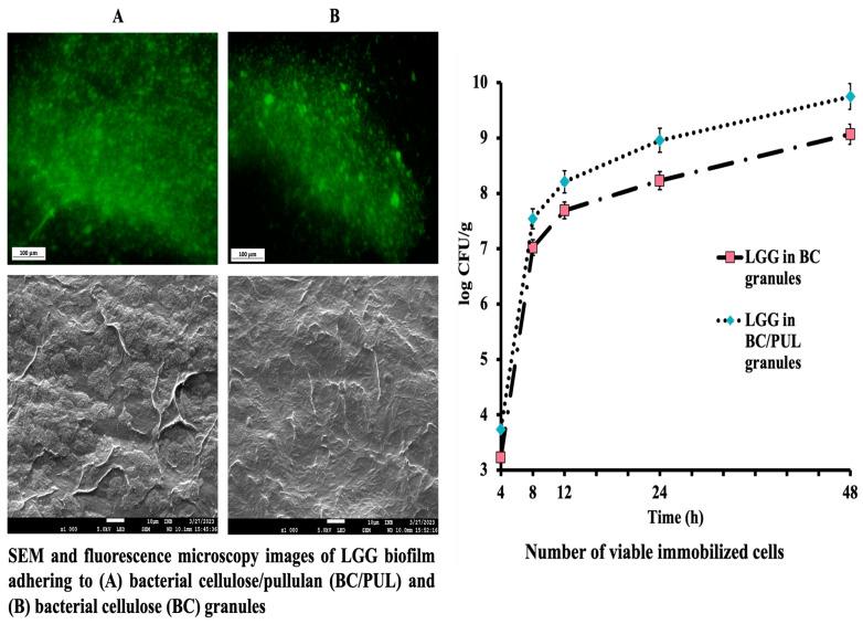 https://cdn.ncbi.nlm.nih.gov/pmc/blobs/e2a5/10780842/f9ca7cd54ec0/polymers-16-00030-g004.jpg