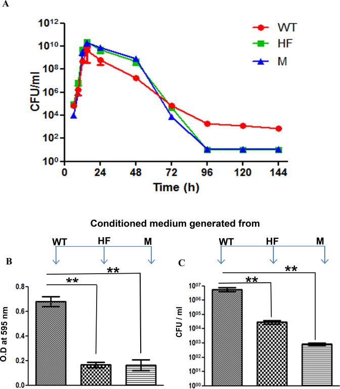 https://cdn.ncbi.nlm.nih.gov/pmc/blobs/e2a6/5737642/144b9d331663/gkx576fig5.jpg