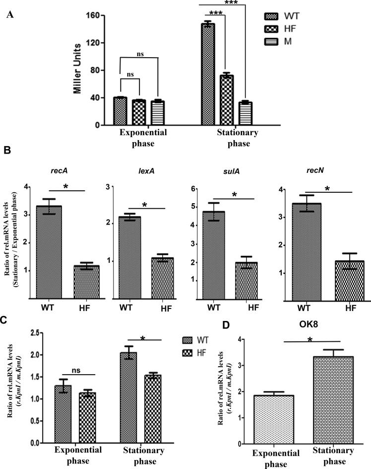 https://cdn.ncbi.nlm.nih.gov/pmc/blobs/e2a6/5737642/5d4119bb1b0d/gkx576fig2.jpg