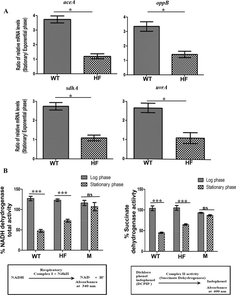 https://cdn.ncbi.nlm.nih.gov/pmc/blobs/e2a6/5737642/e7a67821d141/gkx576fig4.jpg