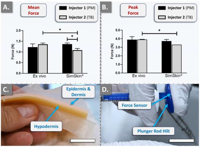 https://cdn.ncbi.nlm.nih.gov/pmc/blobs/e2a7/10888303/46c715dc72af/gels-10-00101-g001.jpg