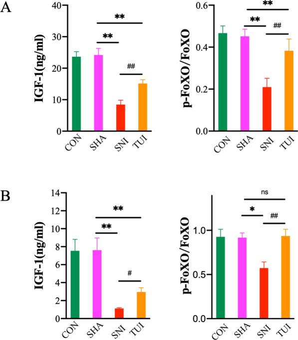 https://cdn.ncbi.nlm.nih.gov/pmc/blobs/e2a7/11686904/12cf28b2afbb/13018_2024_5270_Fig4_HTML.jpg