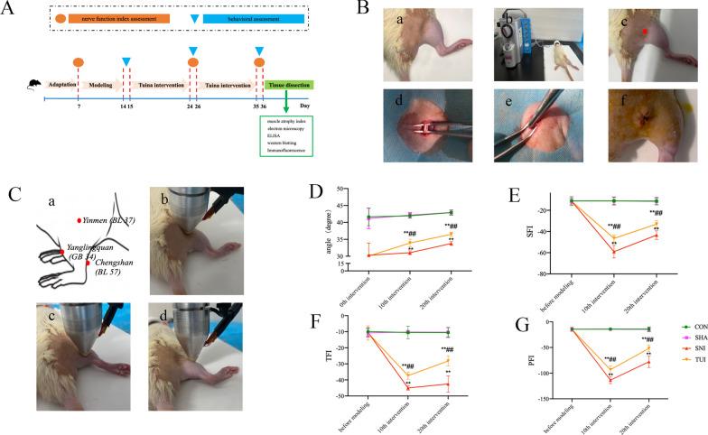 https://cdn.ncbi.nlm.nih.gov/pmc/blobs/e2a7/11686904/43cb0d7d5ee9/13018_2024_5270_Fig1_HTML.jpg