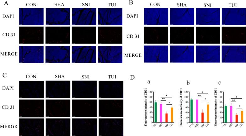 https://cdn.ncbi.nlm.nih.gov/pmc/blobs/e2a7/11686904/a6f63181059f/13018_2024_5270_Fig3_HTML.jpg