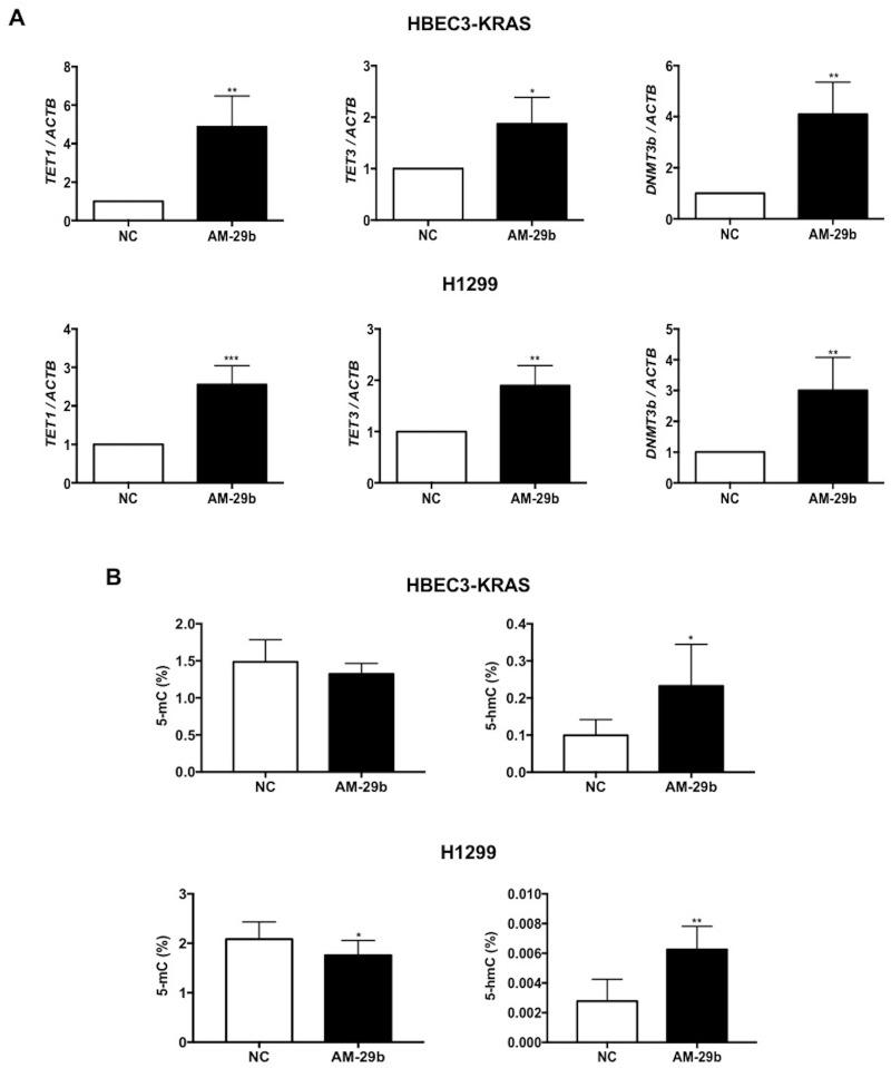 https://cdn.ncbi.nlm.nih.gov/pmc/blobs/e2a8/5650376/c399a29b1889/oncotarget-08-74755-g002.jpg