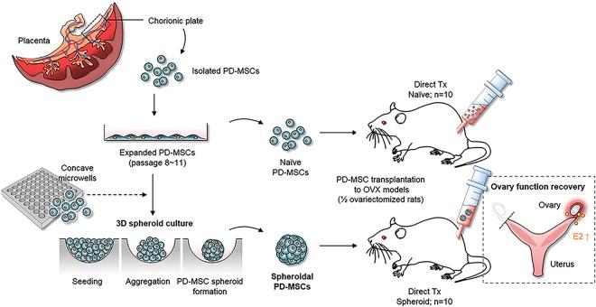 https://cdn.ncbi.nlm.nih.gov/pmc/blobs/e2a9/6193033/c49407974cb9/41598_2018_33575_Fig1_HTML.jpg