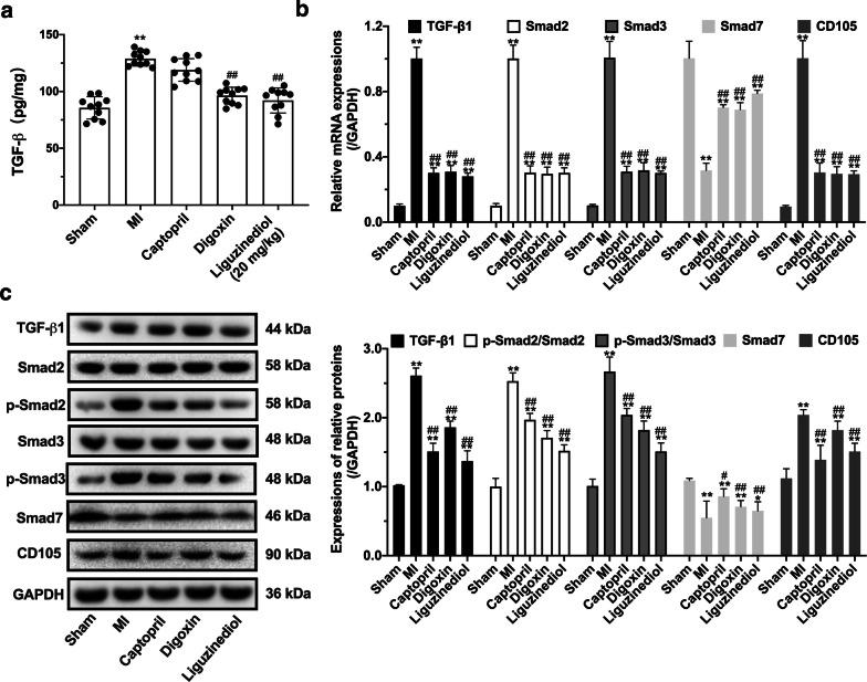 https://cdn.ncbi.nlm.nih.gov/pmc/blobs/e2a9/7296683/50046707a1b5/13020_2020_345_Fig5_HTML.jpg