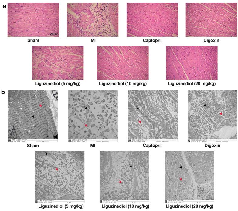 https://cdn.ncbi.nlm.nih.gov/pmc/blobs/e2a9/7296683/c5f7f7def9b6/13020_2020_345_Fig2_HTML.jpg