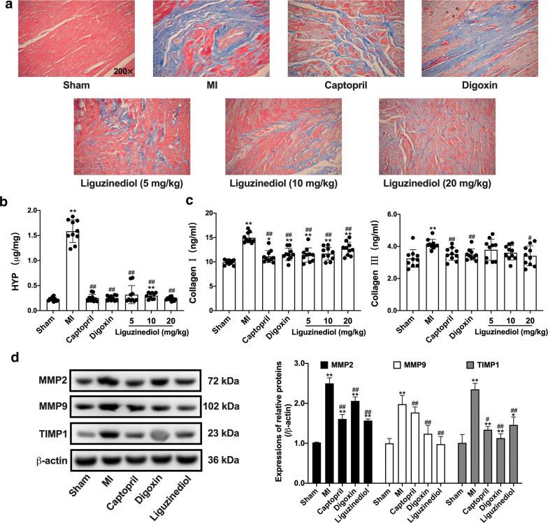 https://cdn.ncbi.nlm.nih.gov/pmc/blobs/e2a9/7296683/d5a719c29b07/13020_2020_345_Fig3_HTML.jpg