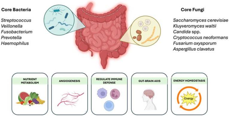 https://cdn.ncbi.nlm.nih.gov/pmc/blobs/e2ac/12030604/70a54aabc56d/nutrients-17-01365-g001.jpg