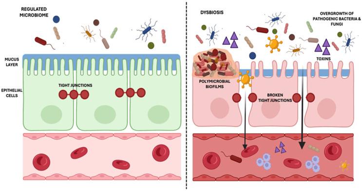 https://cdn.ncbi.nlm.nih.gov/pmc/blobs/e2ac/12030604/83e6242544a1/nutrients-17-01365-g002.jpg