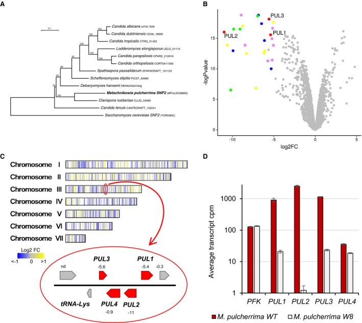 https://cdn.ncbi.nlm.nih.gov/pmc/blobs/e2ae/6851878/86a4091eeb2b/MMI-112-317-g003.jpg