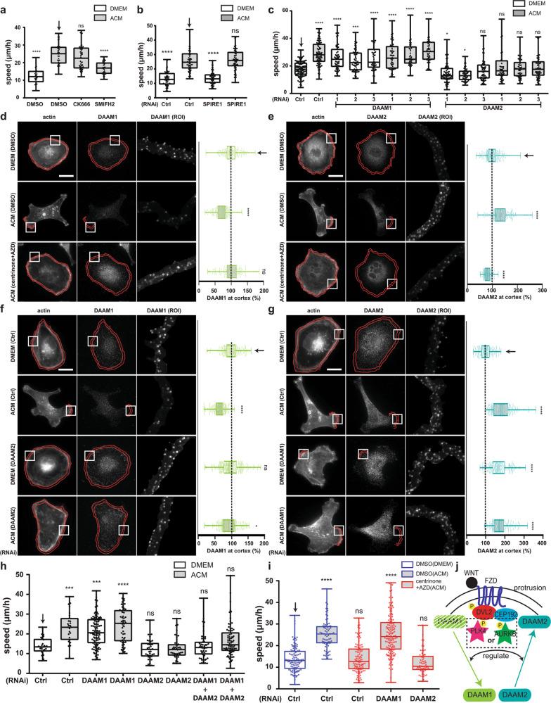 https://cdn.ncbi.nlm.nih.gov/pmc/blobs/e2b0/6541620/7d25608cd387/41467_2019_10241_Fig9_HTML.jpg