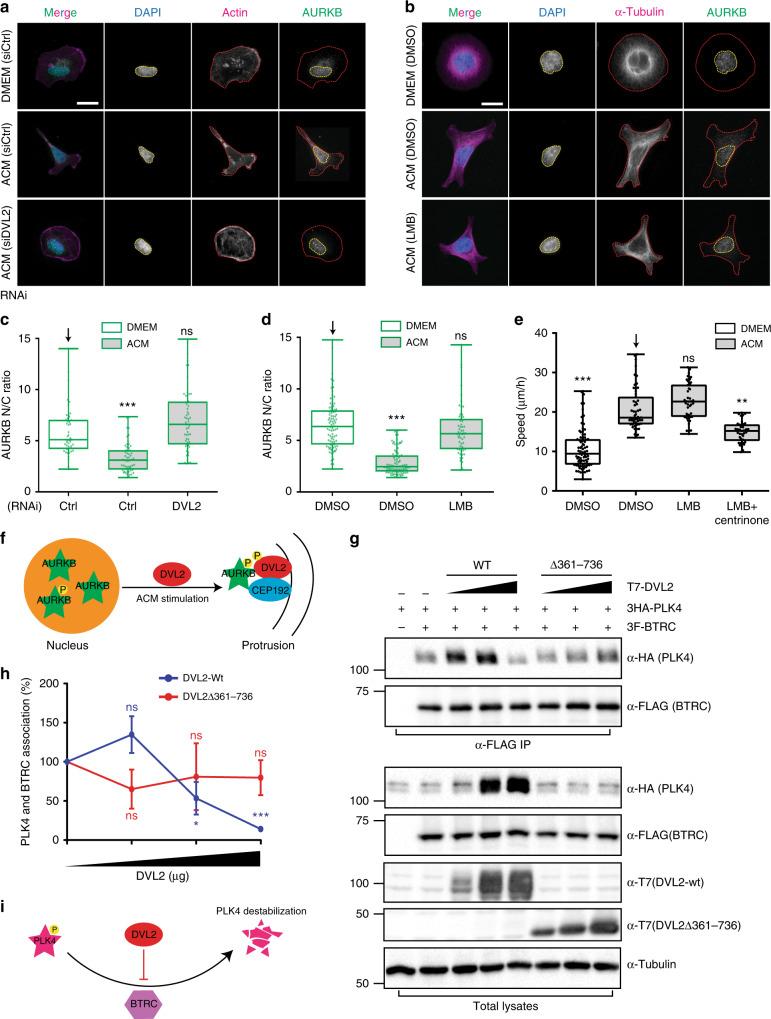 https://cdn.ncbi.nlm.nih.gov/pmc/blobs/e2b0/6541620/bce4bf8866c0/41467_2019_10241_Fig8_HTML.jpg