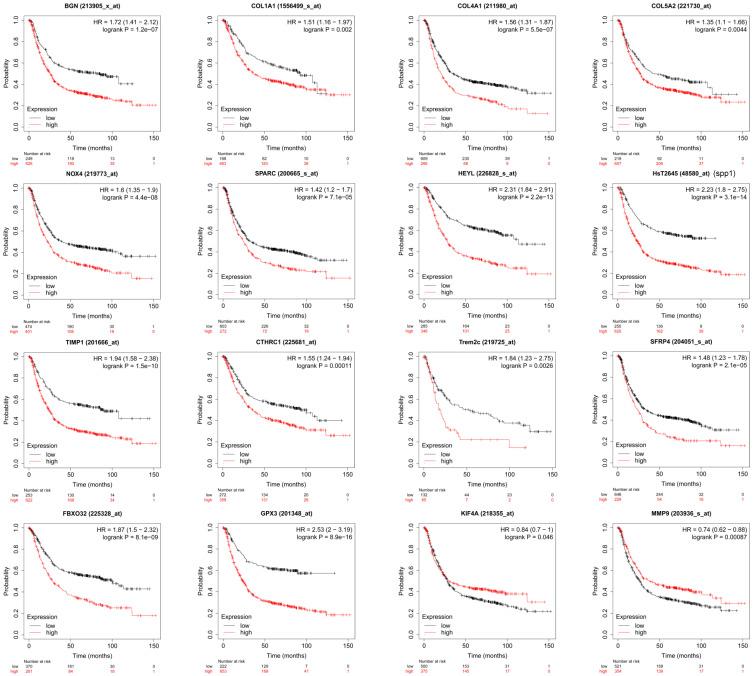 https://cdn.ncbi.nlm.nih.gov/pmc/blobs/e2b0/8100818/5047d359f6f0/jcav12p3277g003.jpg