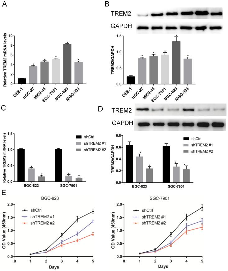 https://cdn.ncbi.nlm.nih.gov/pmc/blobs/e2b0/8100818/a2ba86236351/jcav12p3277g005.jpg
