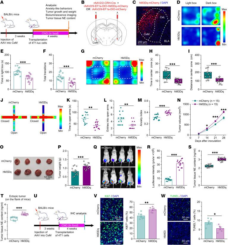 https://cdn.ncbi.nlm.nih.gov/pmc/blobs/e2b1/10721160/04a16666cb48/jci-133-167725-g142.jpg