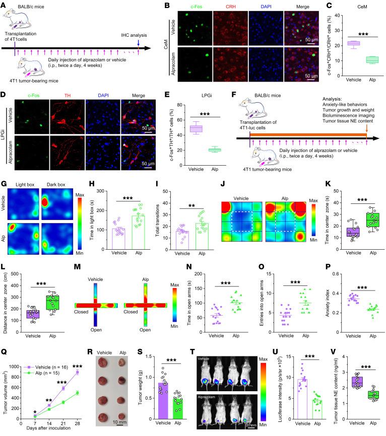 https://cdn.ncbi.nlm.nih.gov/pmc/blobs/e2b1/10721160/1ab75a85cf24/jci-133-167725-g136.jpg