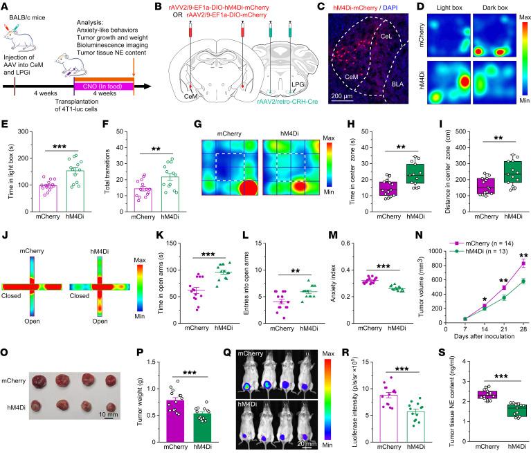 https://cdn.ncbi.nlm.nih.gov/pmc/blobs/e2b1/10721160/8aa4c2e48537/jci-133-167725-g144.jpg
