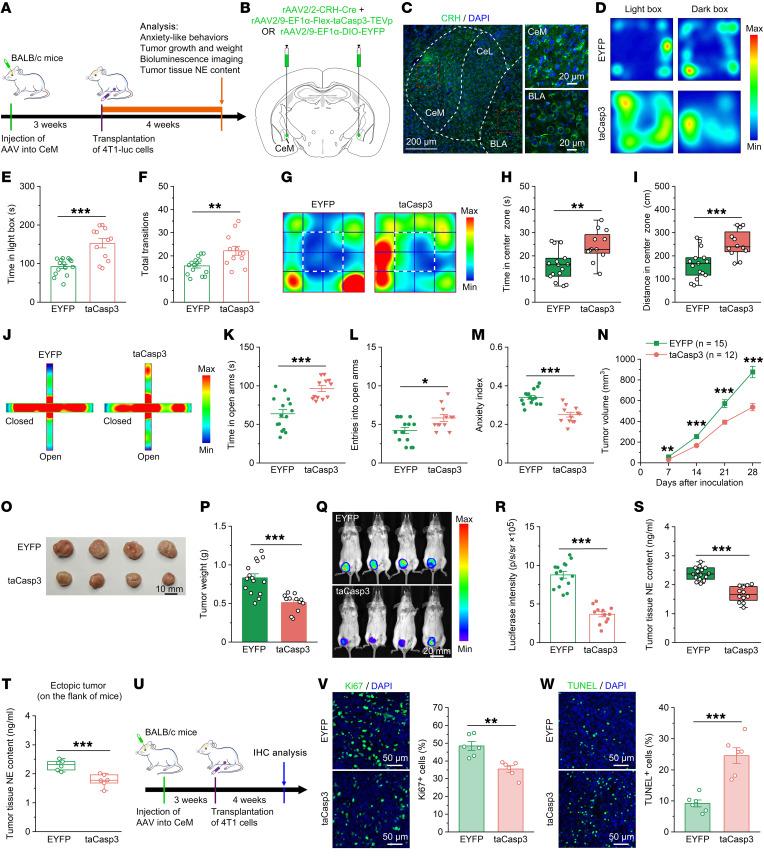 https://cdn.ncbi.nlm.nih.gov/pmc/blobs/e2b1/10721160/e5ef6b9a5e61/jci-133-167725-g140.jpg
