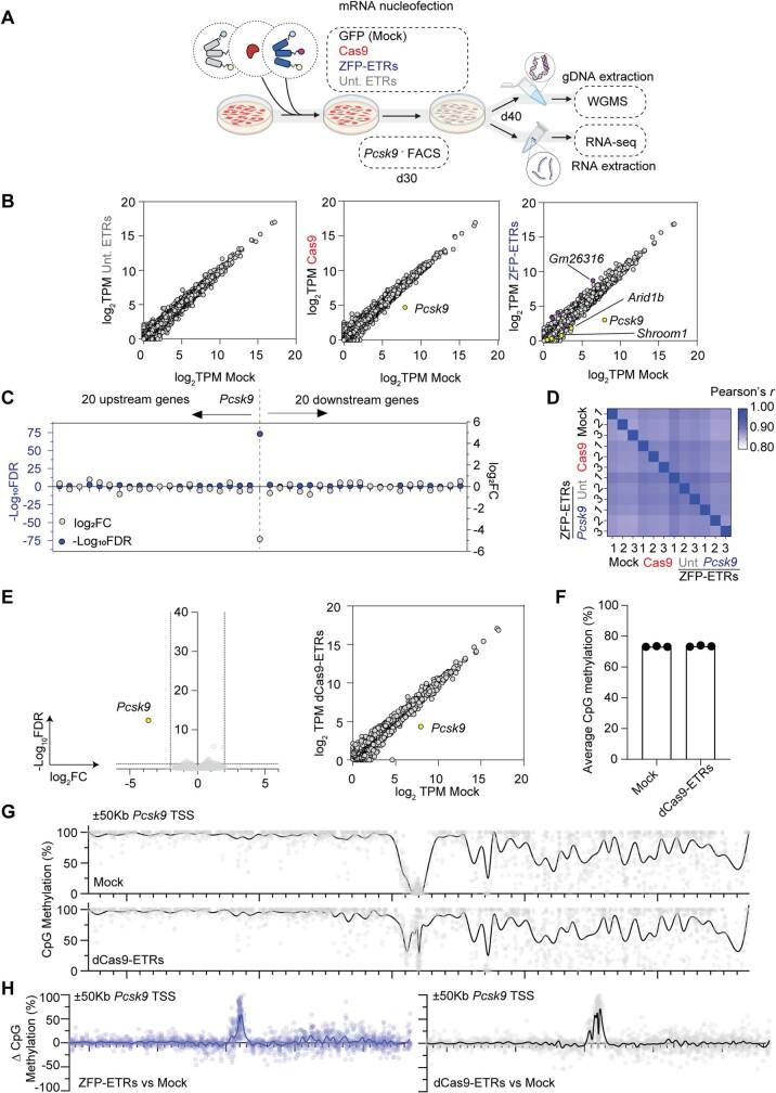 https://cdn.ncbi.nlm.nih.gov/pmc/blobs/e2b1/10937395/9a62ad49d342/41586_2024_7087_Fig7_ESM.jpg