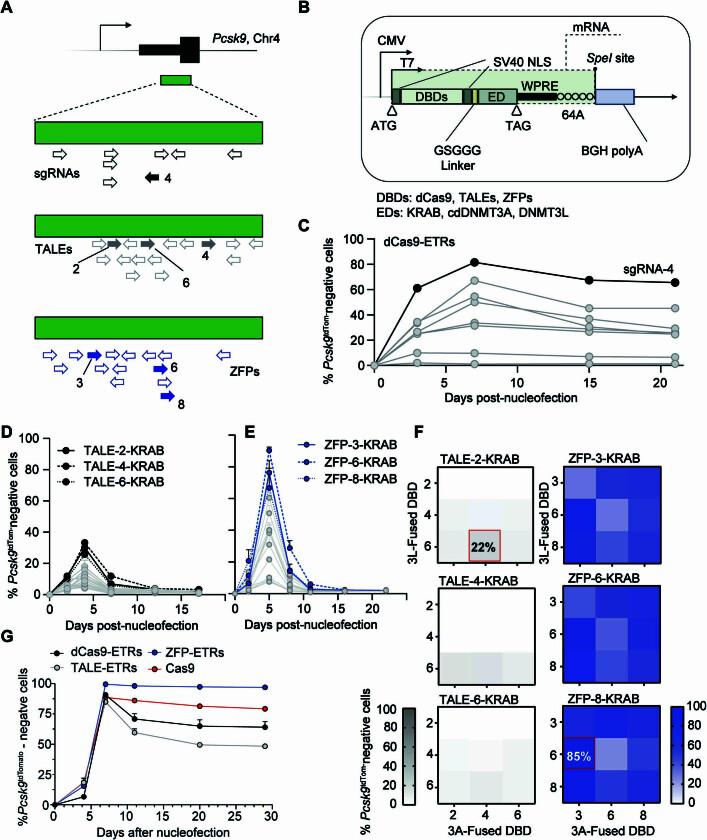 https://cdn.ncbi.nlm.nih.gov/pmc/blobs/e2b1/10937395/c642bab046f2/41586_2024_7087_Fig6_ESM.jpg