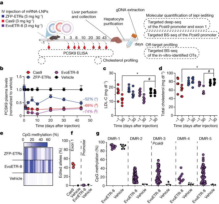 https://cdn.ncbi.nlm.nih.gov/pmc/blobs/e2b1/10937395/c9478e79b885/41586_2024_7087_Fig5_HTML.jpg