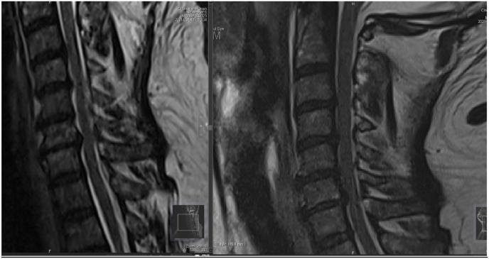 https://cdn.ncbi.nlm.nih.gov/pmc/blobs/e2b1/9661660/224ad7db225e/gr8.jpg