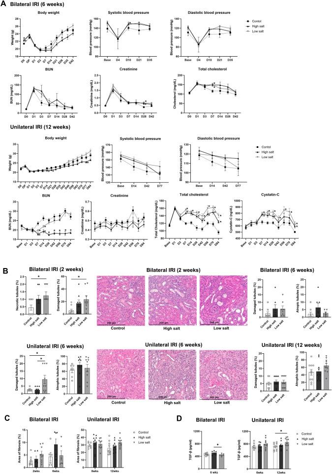 https://cdn.ncbi.nlm.nih.gov/pmc/blobs/e2b2/12137256/0c508ff8bbd8/fcell-13-1494660-g005.jpg