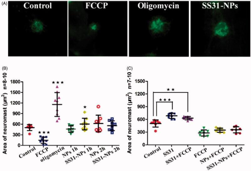 https://cdn.ncbi.nlm.nih.gov/pmc/blobs/e2b2/8241023/60fe6baccdcf/IDRD_A_1402220_F0006_C.jpg