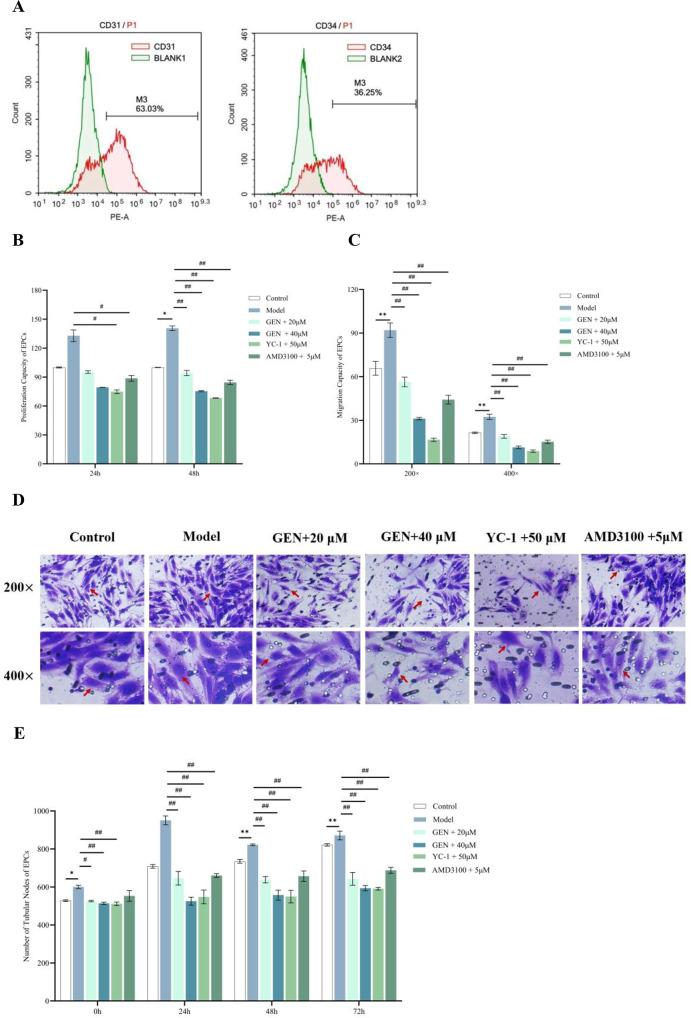 https://cdn.ncbi.nlm.nih.gov/pmc/blobs/e2b3/12141521/1e47e4d17795/41598_2025_3818_Fig6a_HTML.jpg