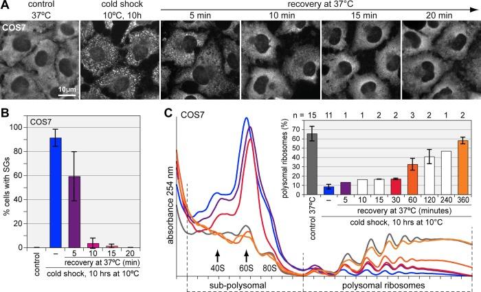 https://cdn.ncbi.nlm.nih.gov/pmc/blobs/e2b3/3459856/33606093fb62/3786fig4.jpg