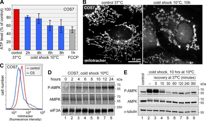 https://cdn.ncbi.nlm.nih.gov/pmc/blobs/e2b3/3459856/3f2b0c3a9399/3786fig9.jpg
