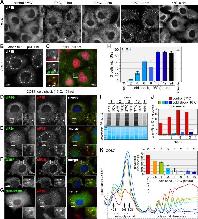 https://cdn.ncbi.nlm.nih.gov/pmc/blobs/e2b3/3459856/b325b587b5ef/3786fig1.jpg