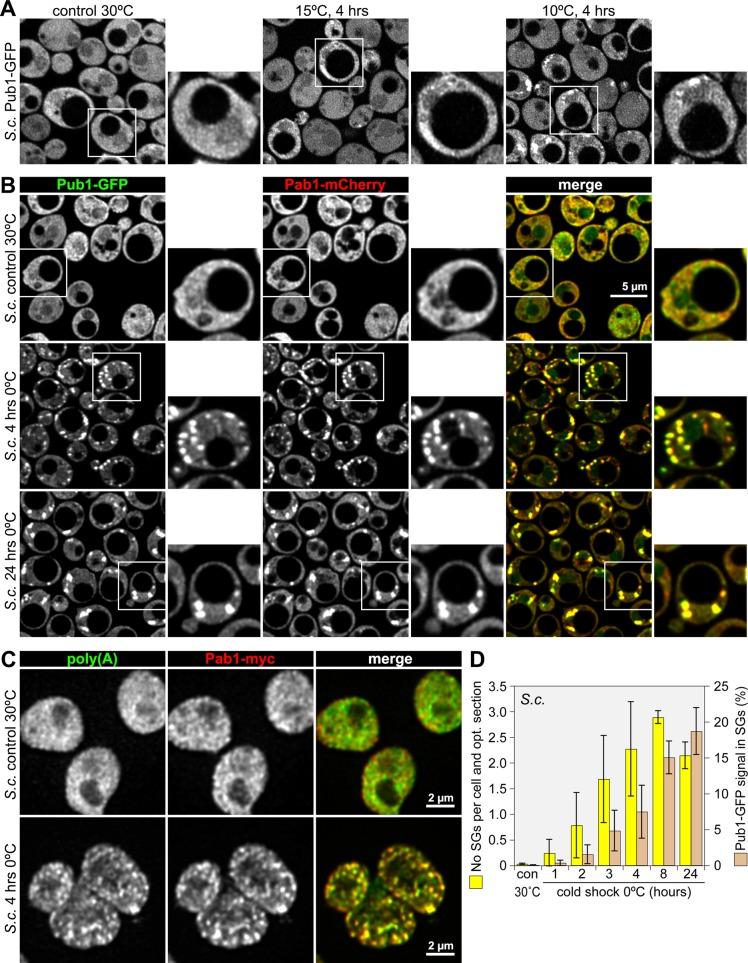 https://cdn.ncbi.nlm.nih.gov/pmc/blobs/e2b3/3459856/f636e09e8367/3786fig2.jpg