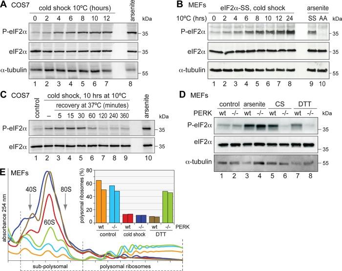 https://cdn.ncbi.nlm.nih.gov/pmc/blobs/e2b3/3459856/fdc4a6f06550/3786fig5.jpg