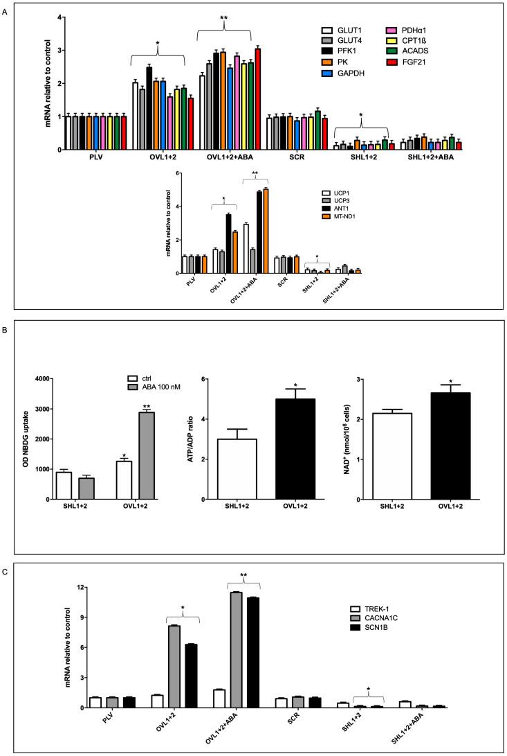 https://cdn.ncbi.nlm.nih.gov/pmc/blobs/e2b6/10526111/6f0e565c4a35/antioxidants-12-01692-g002.jpg