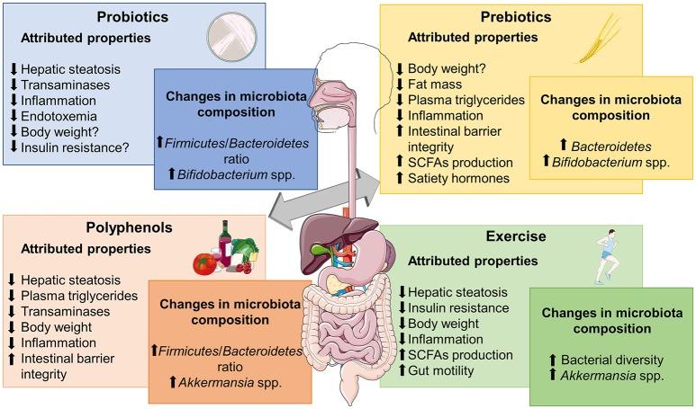 https://cdn.ncbi.nlm.nih.gov/pmc/blobs/e2b6/6305464/faac97e584a6/fphys-09-01813-g0002.jpg