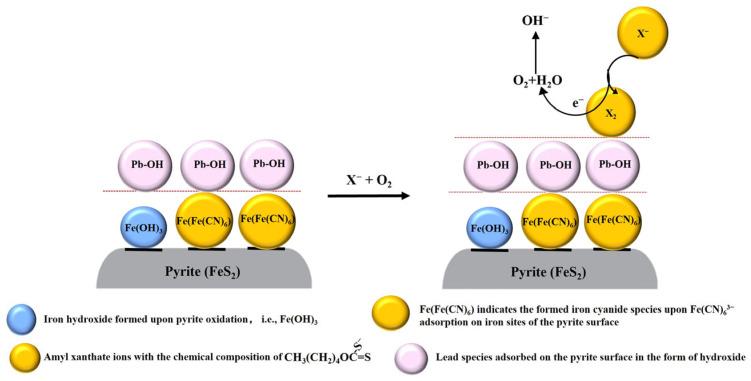 https://cdn.ncbi.nlm.nih.gov/pmc/blobs/e2b7/11173623/fbad7ecf208f/molecules-29-02517-g009.jpg