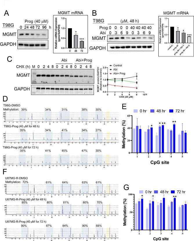 https://cdn.ncbi.nlm.nih.gov/pmc/blobs/e2b7/11302026/e54258fcc9f6/13046_2024_3144_Fig2_HTML.jpg