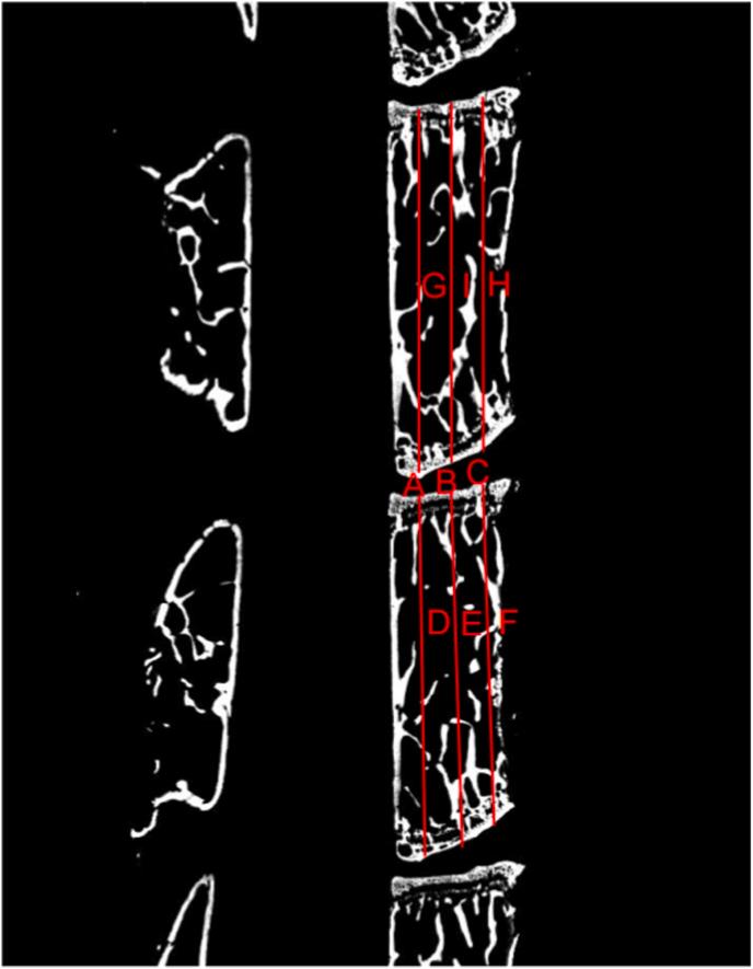 https://cdn.ncbi.nlm.nih.gov/pmc/blobs/e2b7/8685911/f783dc8a1cc6/gr2.jpg